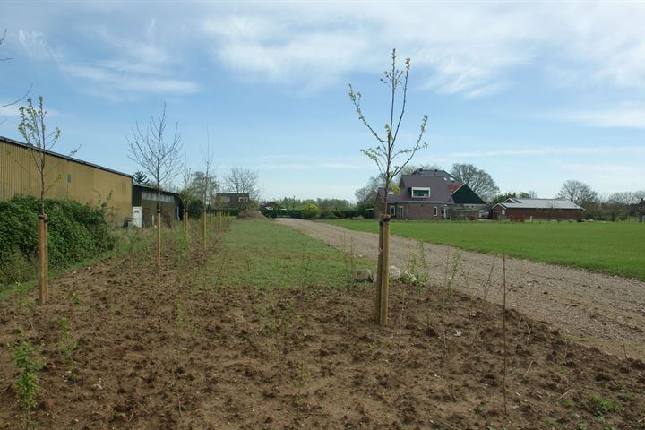 Bekijk foto 16 van Leutsestraat