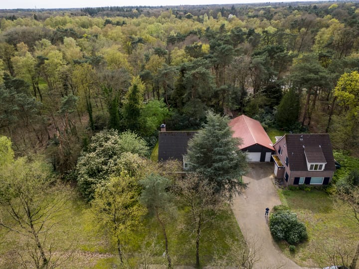 Photo 44 of Langendijk 2