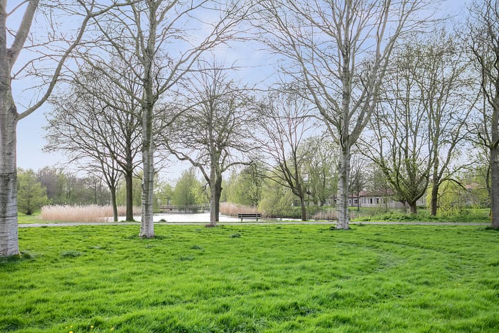 Foto 43 van Haagbeukweg 119