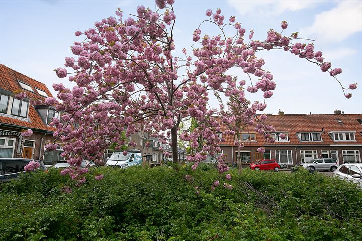 Bekijk foto 32 van Heemskerkstraat 86