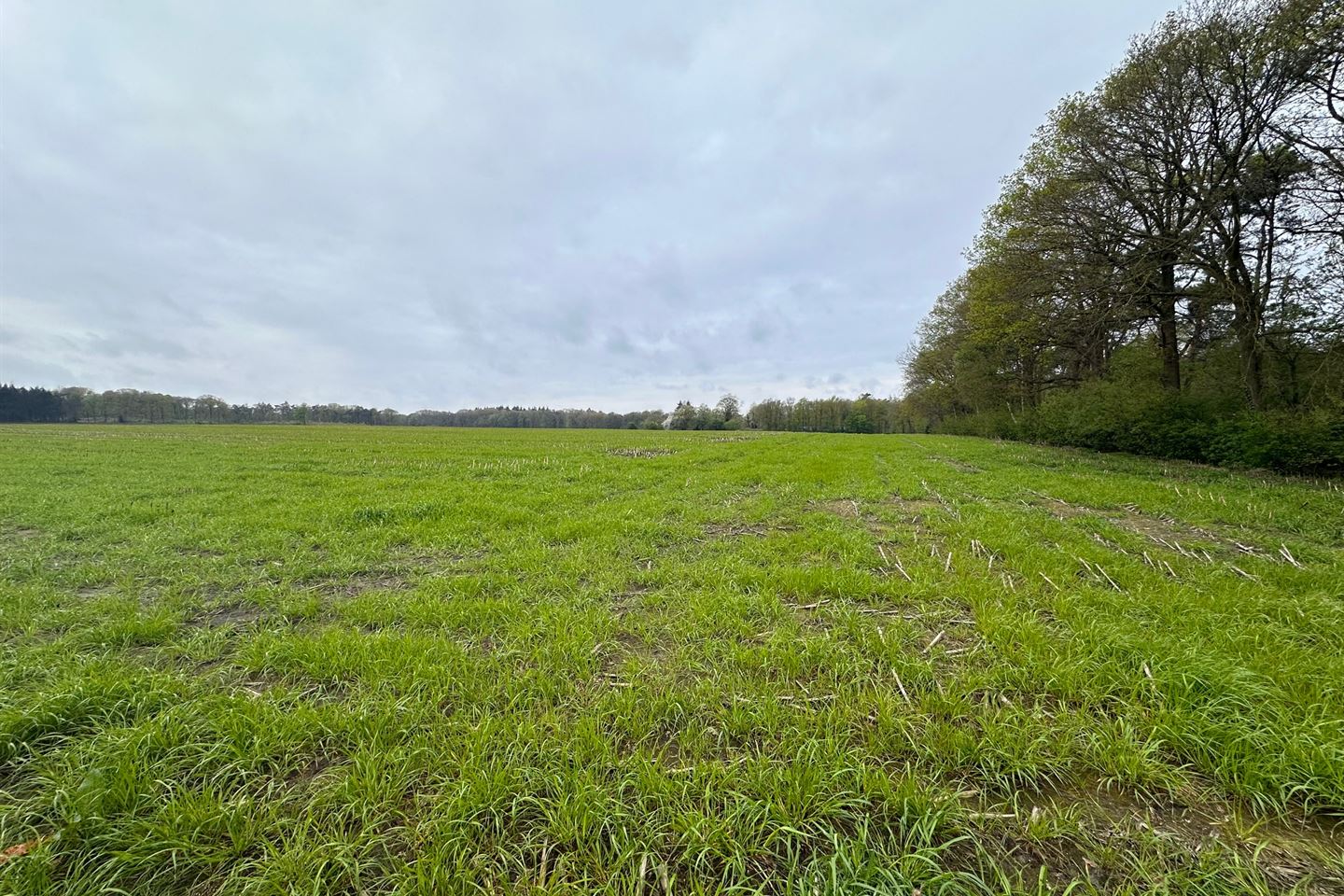 Bekijk foto 1 van Apenbergerweg