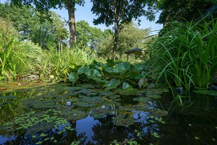 Bekijk foto 37 van Rarenderstraat 27