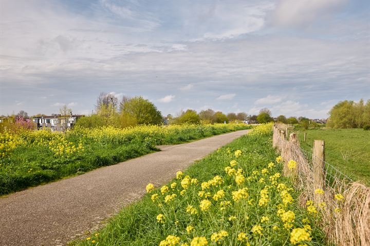 Bekijk foto 64 van Bosschenhoek 41