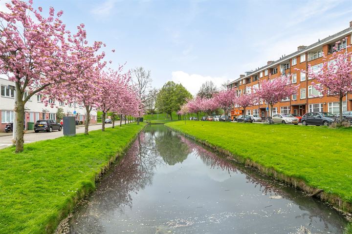 Bekijk foto 32 van Schiedamseweg Beneden 481-B