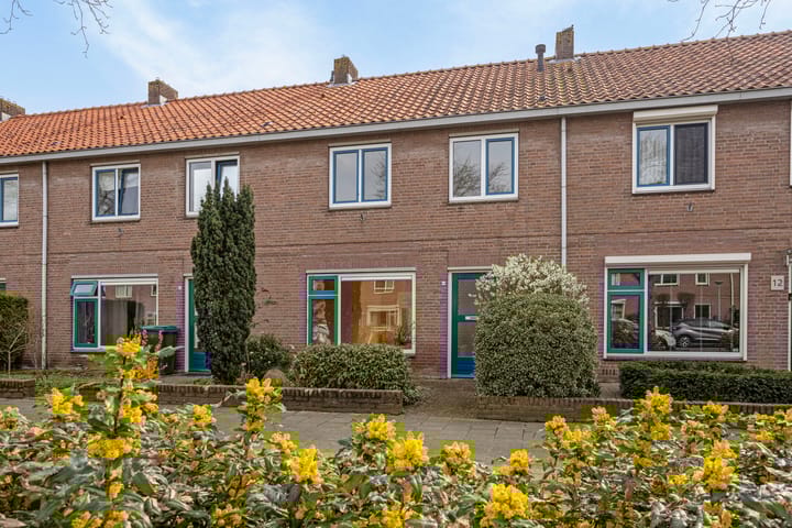 undefined main image