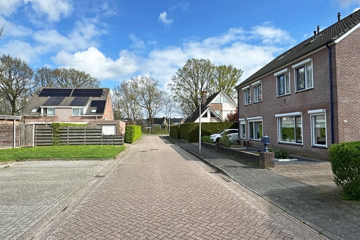 Bekijk foto 2 van Goudiep 10