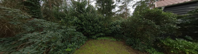 foto17