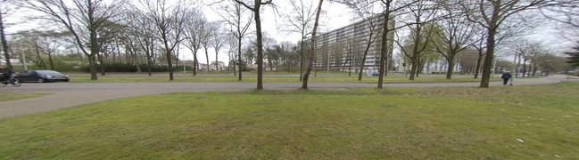 foto20