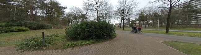 foto22
