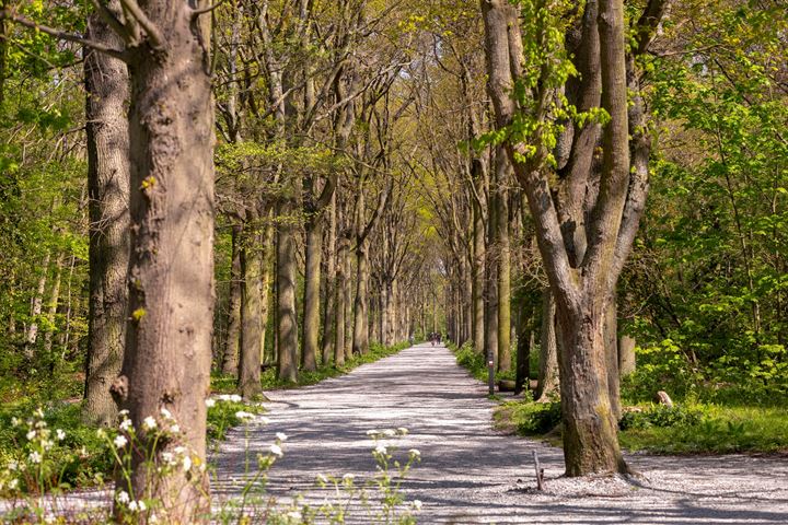 Bekijk foto 43 van Rijnsburgerweg 130