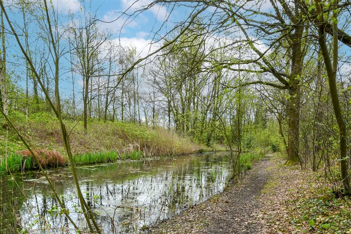 Bekijk foto 32 van Putterlaan 26