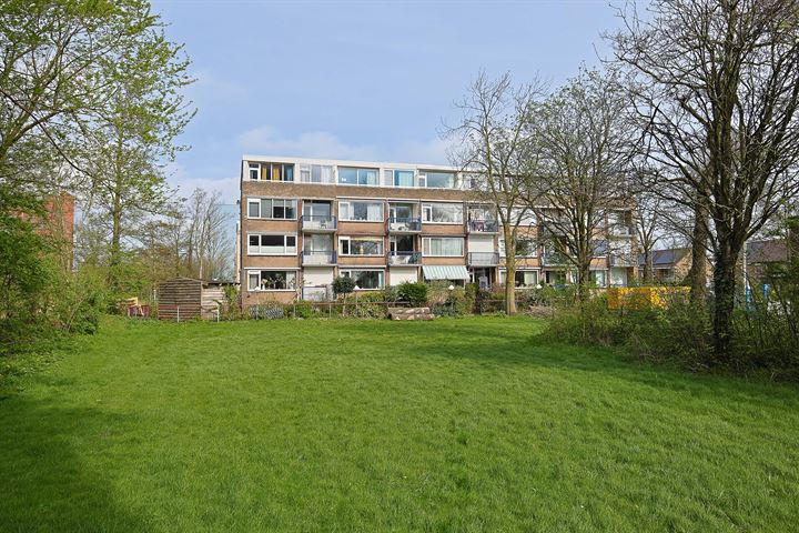 Bekijk foto 3 van Jan Ligthartstraat 215