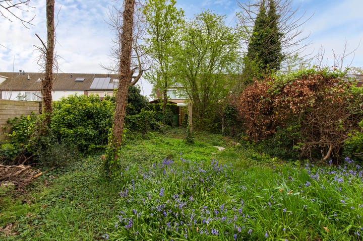 Foto 31 van Grensstraat 27