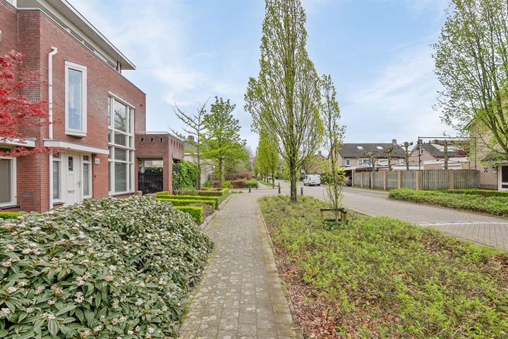 Bekijk foto 46 van Neptunusstraat 29