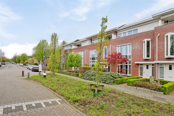 Bekijk foto 43 van Neptunusstraat 29