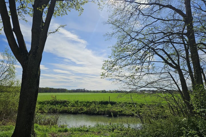 Bekijk foto 1 van Couwenhoven 5516