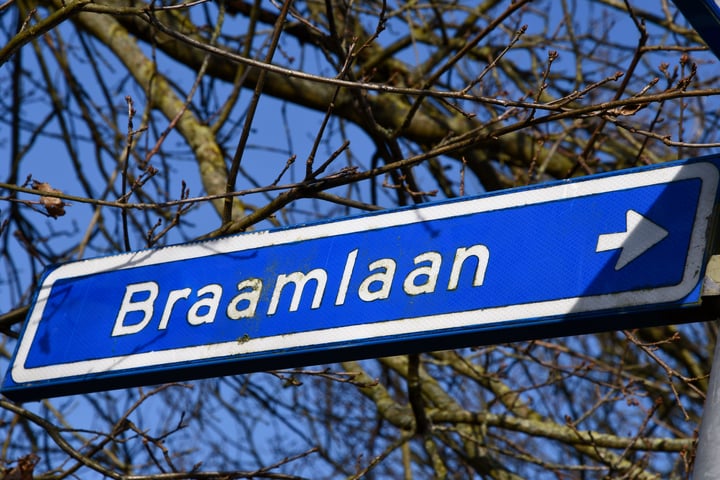 Bekijk foto 42 van Braamlaan 4