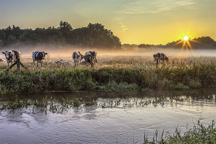 Bekijk foto 5 van Tagweg