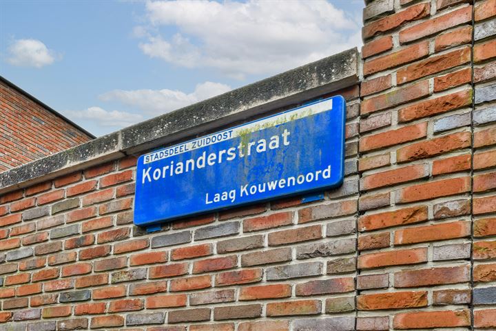 Bekijk foto 42 van Korianderstraat 33