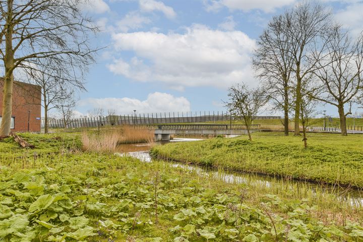 Bekijk foto 43 van Korianderstraat 33