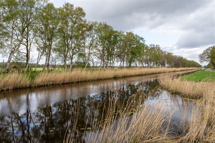 View photo 52 of Burgemeester Buiskoolweg 7