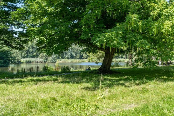 Bekijk foto 35 van Hoofdweg 342-3