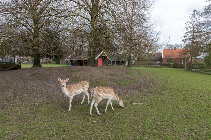 Bekijk foto 40 van Noordwijkweg 6