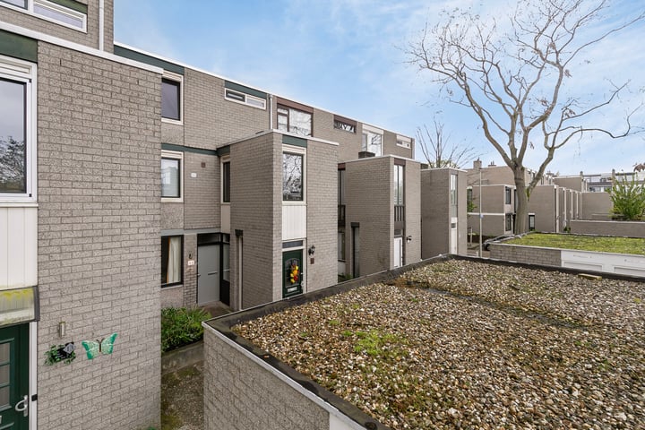 Bekijk foto 1 van Bijster 11