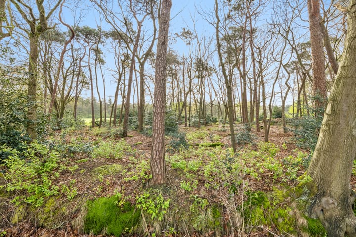 Foto 52 van Antwerpsebaan 12-A