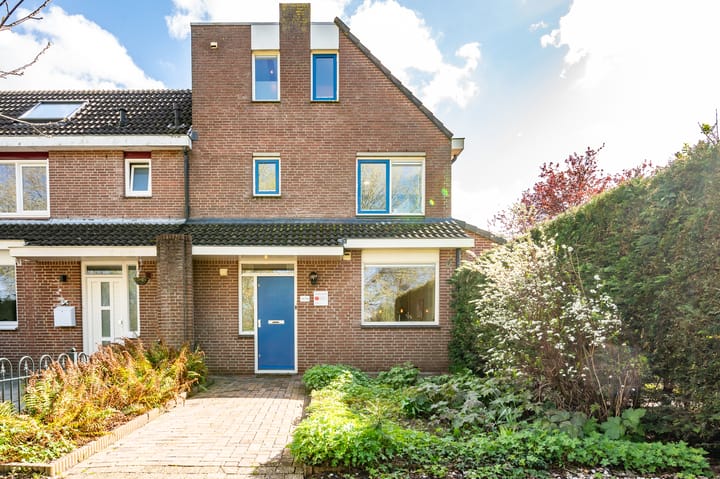 Foto 4 van Botter 31 63