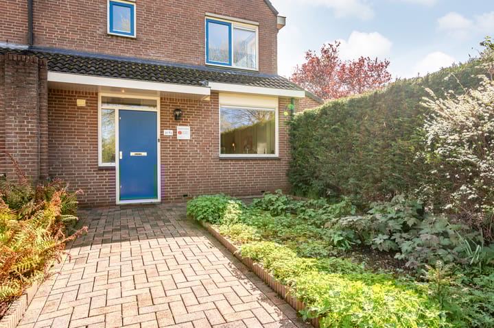 Foto 3 van Botter 31 63