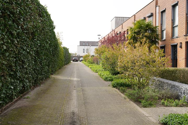 View photo 65 of Wittemstraat 18