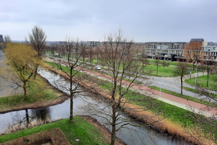 Bekijk foto 30 van Wijtvliet 29