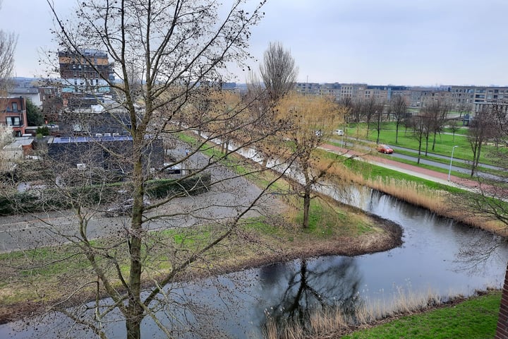 Bekijk foto 31 van Wijtvliet 29