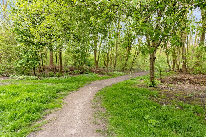 Bekijk foto 32 van Het Roege Bos 34