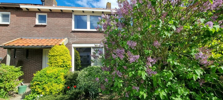 Foto 35 van Molenstraat 71