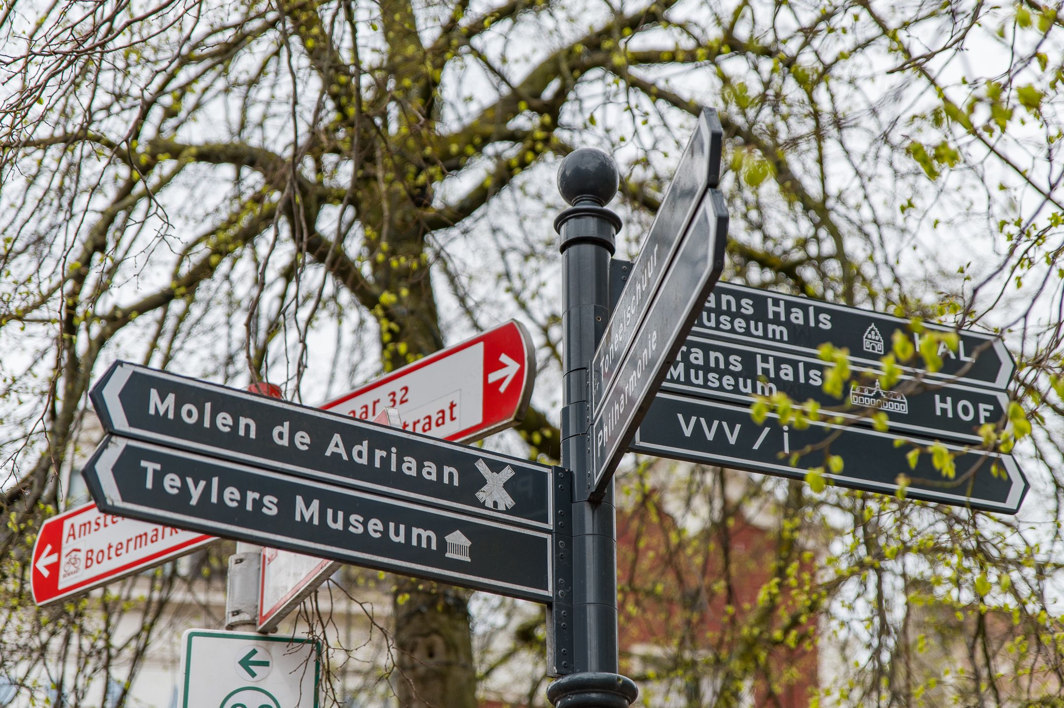 Foto 27 van Berkenrodesteeg 17