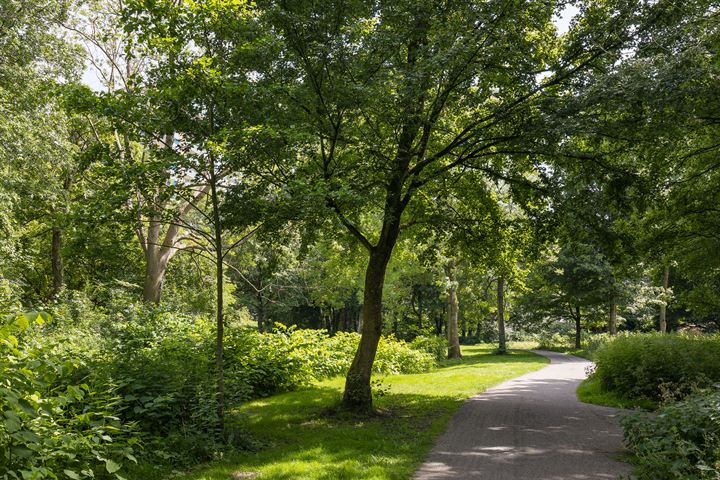 Bekijk foto 33 van Engelandlaan 161