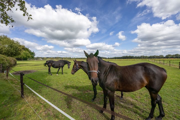 Foto 2 van Dorpsstraat 1