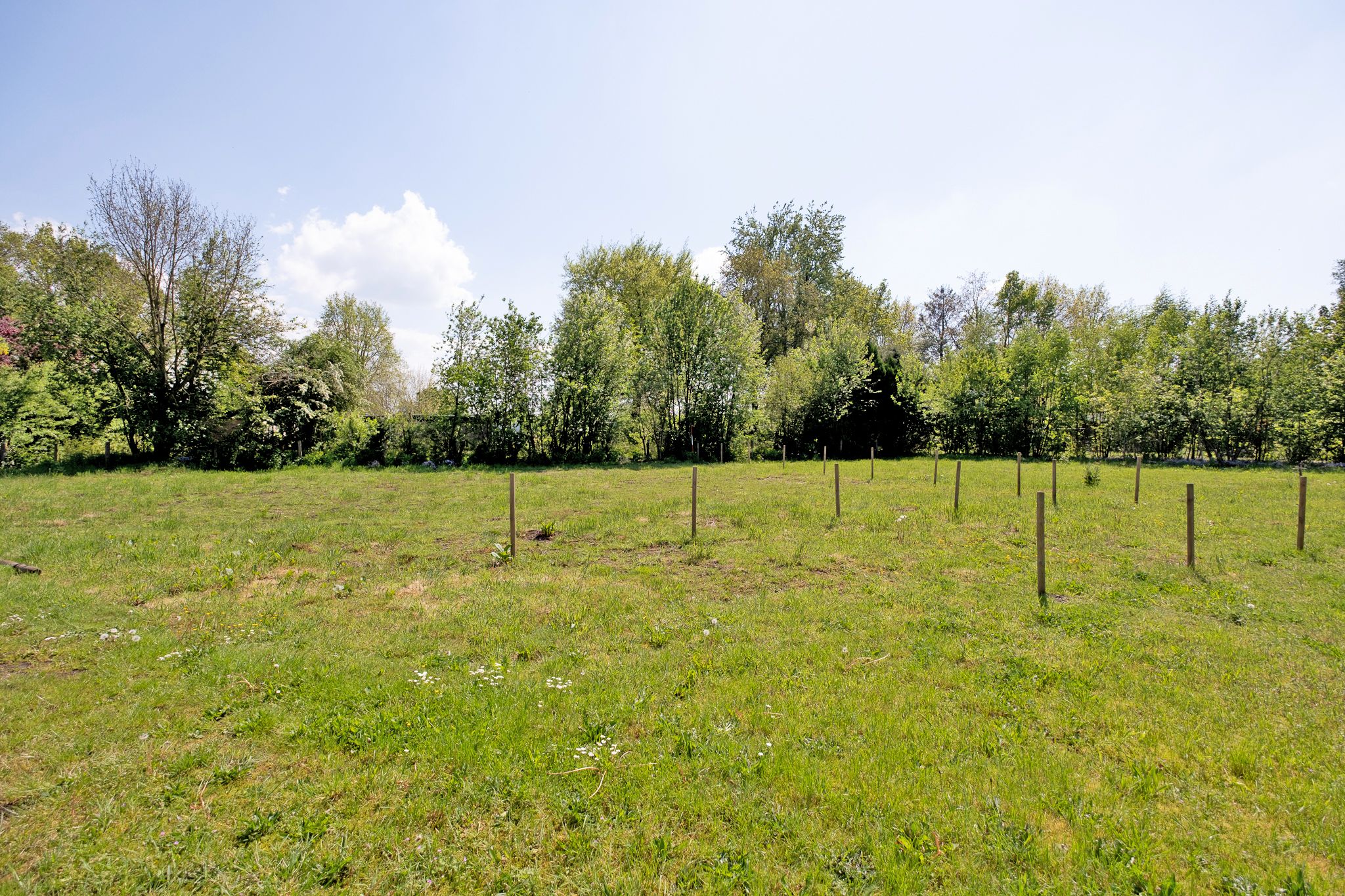 De Tip, De Kiel, 7849TD, Drenthe, Nederland