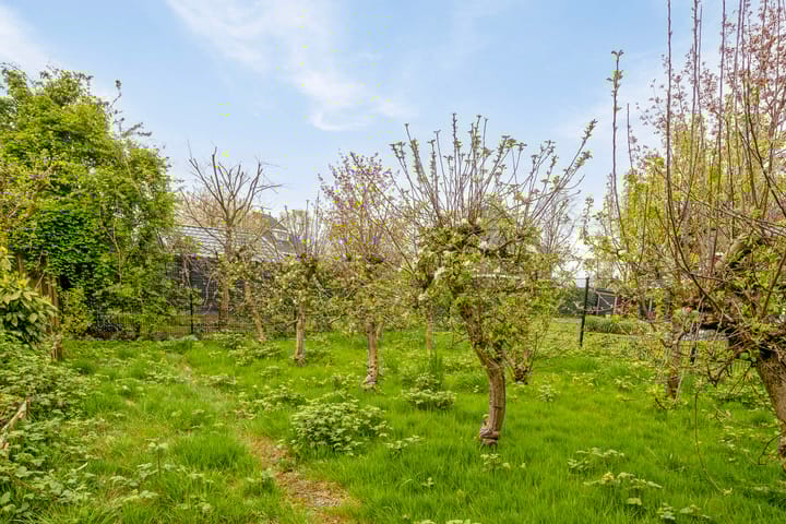 Foto 37 van Koningin Julianaplein 19