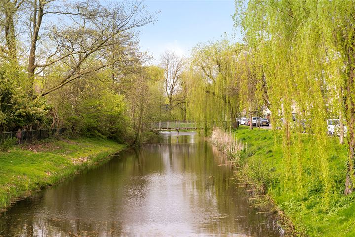 Bekijk foto 24 van Zwanensingel 88