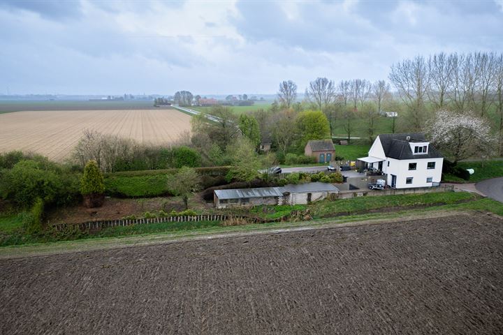 Bekijk foto 2 van Grote Bolspolder 1