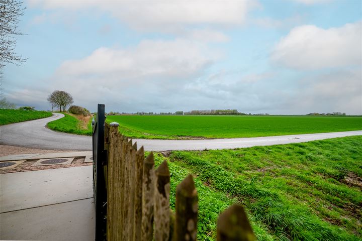 Bekijk foto 46 van Grote Bolspolder 1