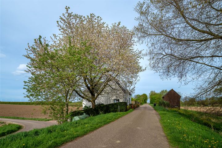 Bekijk foto 47 van Grote Bolspolder 1