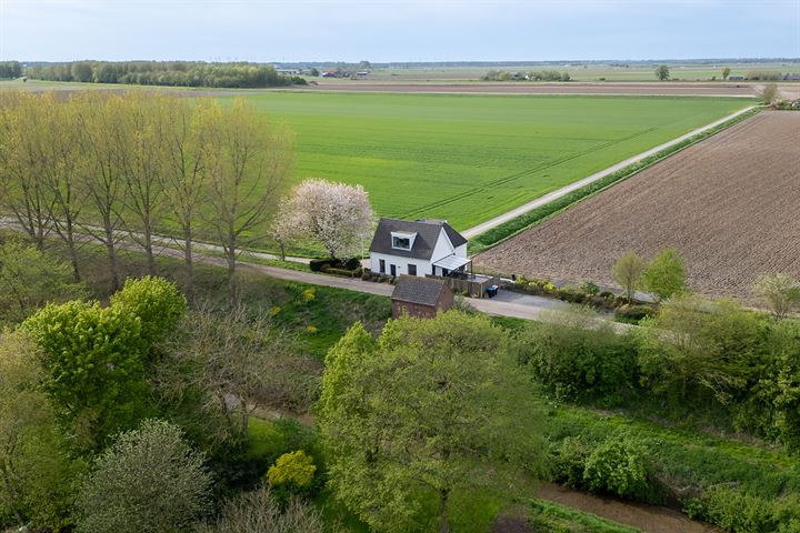 Bekijk foto 51 van Grote Bolspolder 1