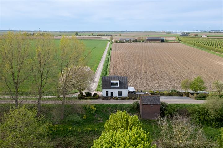 Bekijk foto 49 van Grote Bolspolder 1