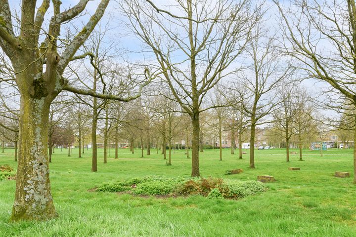 Bekijk foto 38 van Korte Bredestraat 47