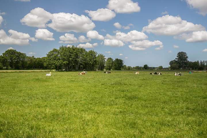 Photo 27 of Schoterlandseweg 191