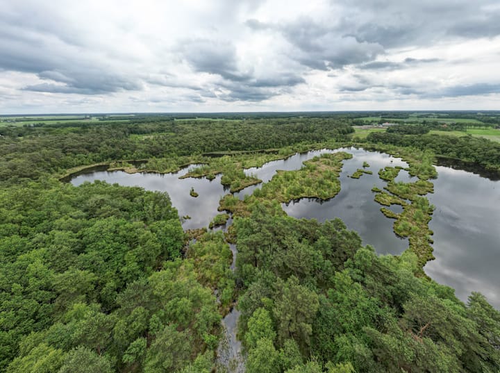 Photo 30 of Schoterlandseweg 191